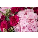 Květinový box s hortenzií